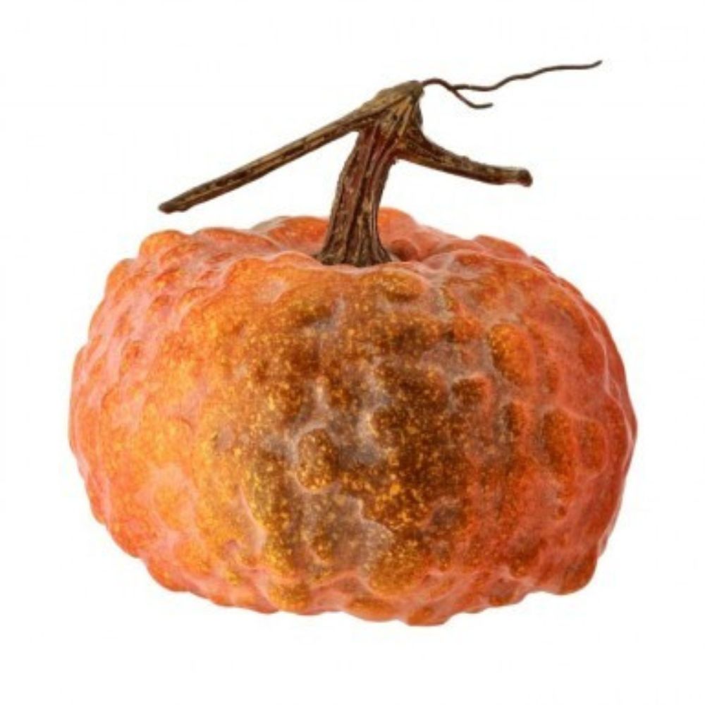 CALABAZA NARANJA CON BORDES MED:20 CM