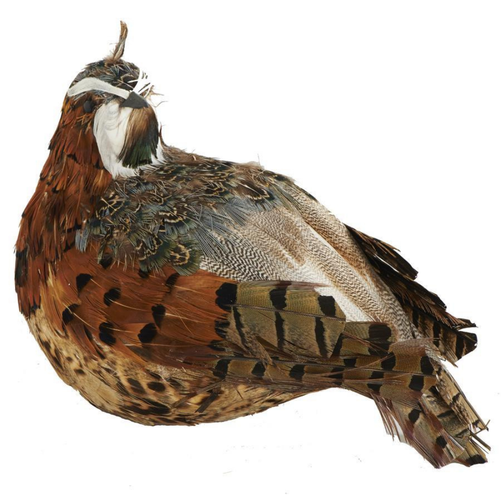 ACC. CODORNIZ PLUMAS MARRONES Y VERDES MED:13 CM