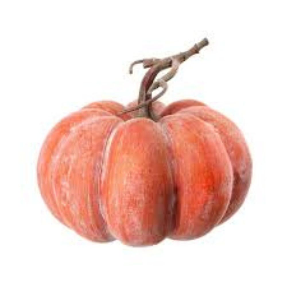 CALABAZA PLANA EN TONO NARANJA MED:20 CM