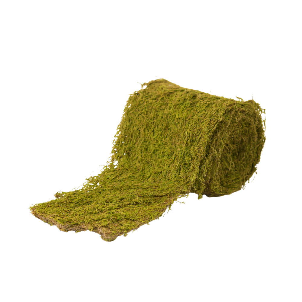 LISTÓN DE MUSGO MED:1M X 6CM DE ANCHO