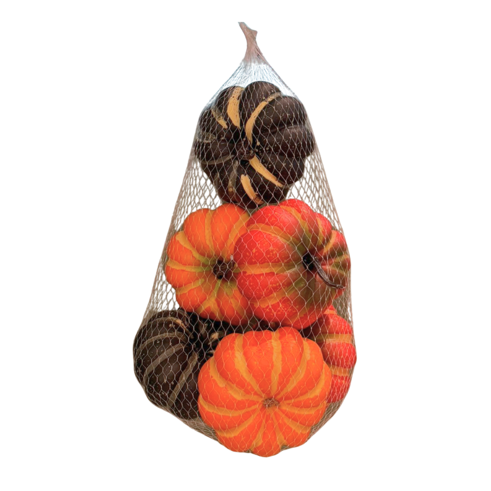 SET DE 6 CALABAZAS MINI 10X8 CM