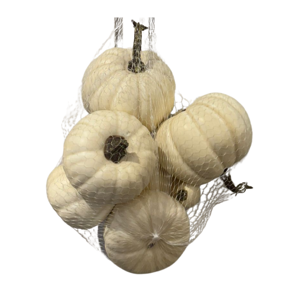 SET DE 6 CALABAZAS MINI 10X8 CM TONO BLANCO