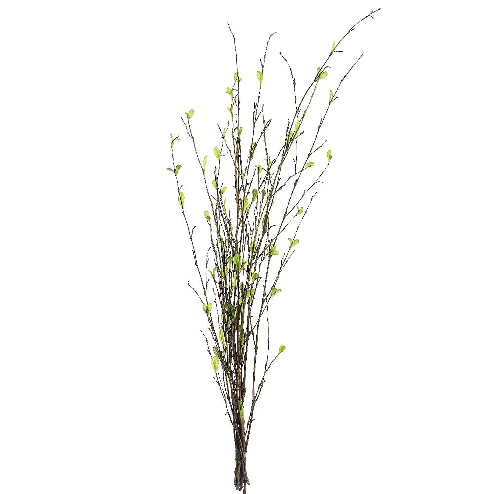 RAMA DE BAMBU VERDE MED:66 CM