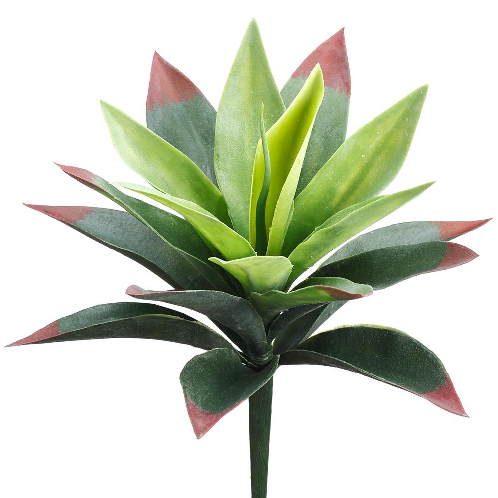 PLANTA AGAVE VERDE/ROSA 28 CM