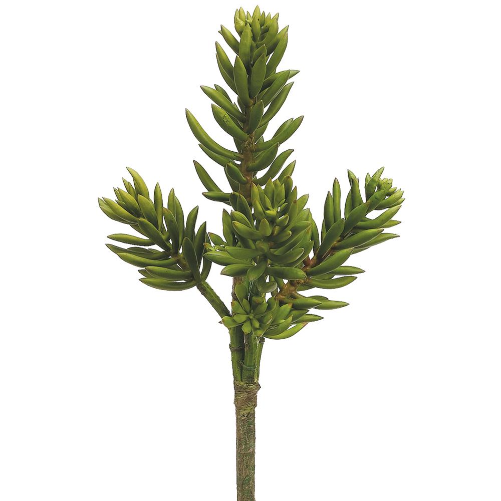 SUCULENTA SENECIO PICOS VERDE MED:40 CM