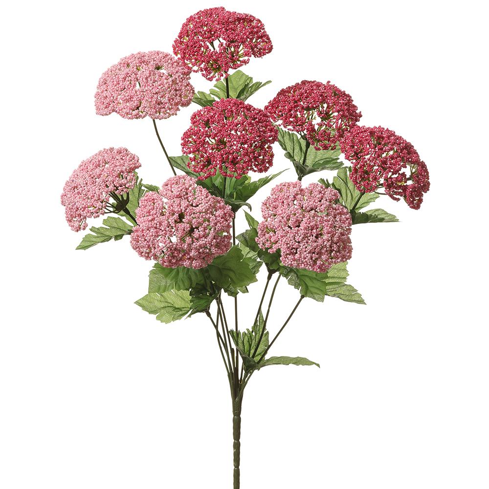 RAMA ENCAJE DE QUEEN ANNE MED:46 CM