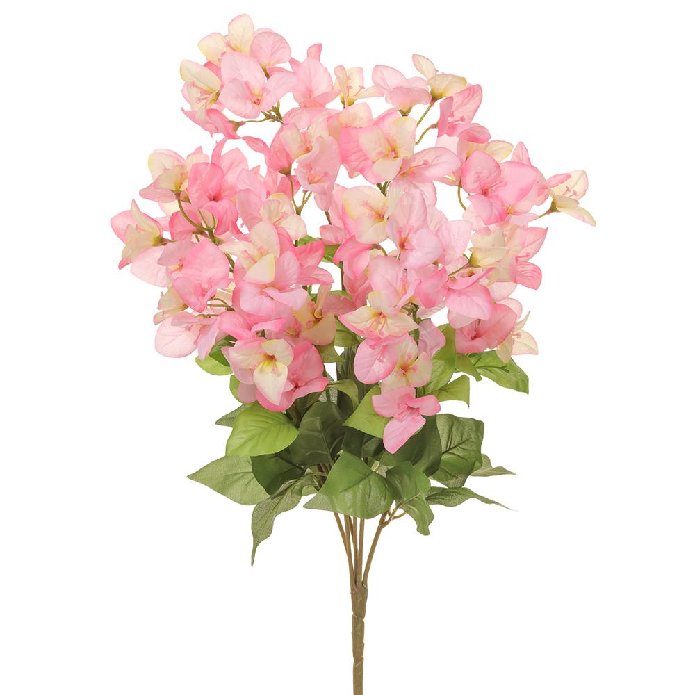 BUGAMBILIA ROSA/CREMA 61 CM