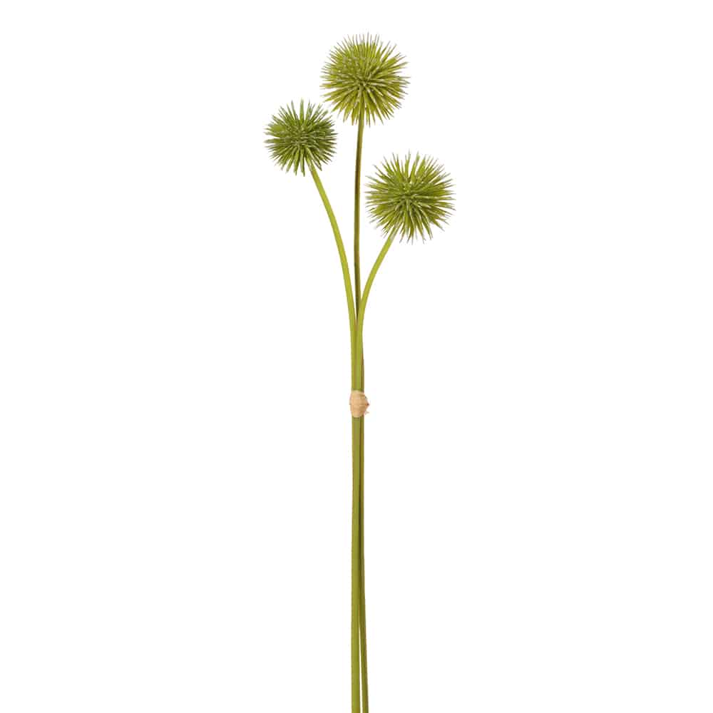 RAMA DE CARDO VERDE MED:50 CM