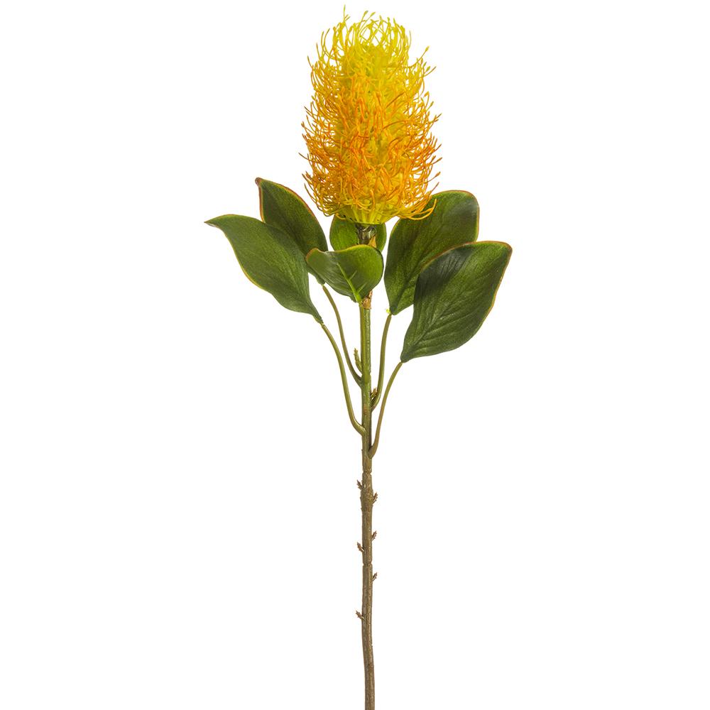 BANKSIA SPRAY NARANJA MED:56 CM