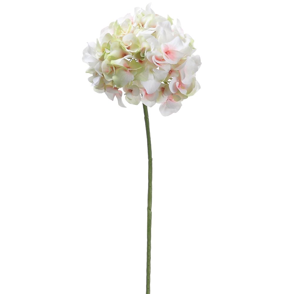HORTENCIA CREMA/VERDE MED:47 CM