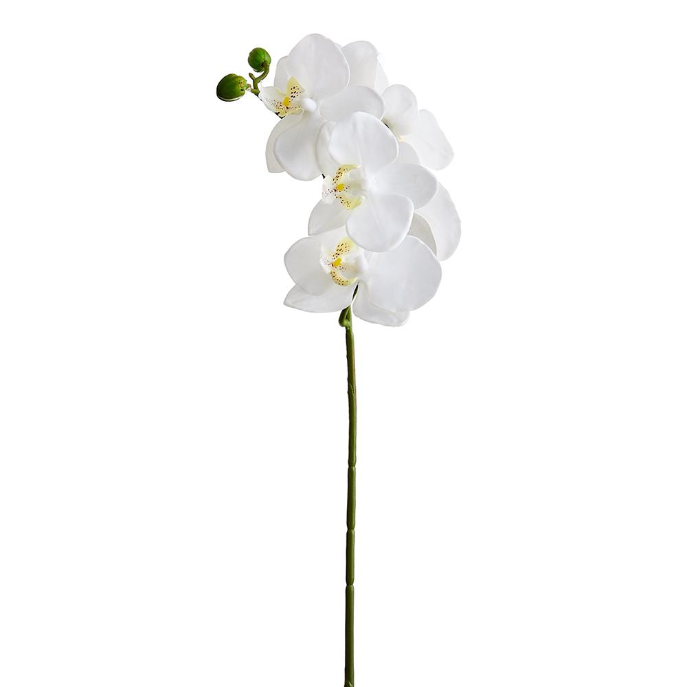 ORQUIDEA BLANCA CON 6 FLORES MED:60 CM
