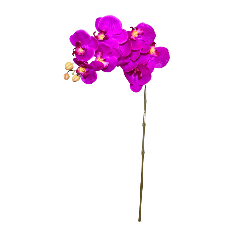 ORQUIDEA MAGENTA CON 9 FLORES MED:98 CM