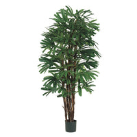 PALMA RAFIS MED:152 CM