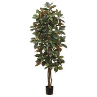 ÁRBOL DE MAGNOLIA MED:153 CM