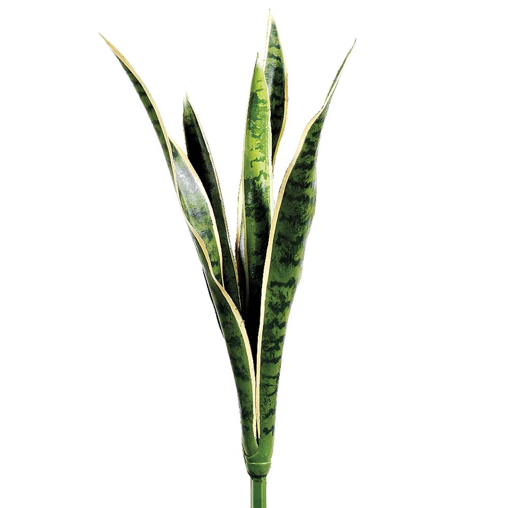 GUACO VERDE/AMARILLO MED: 61 CM