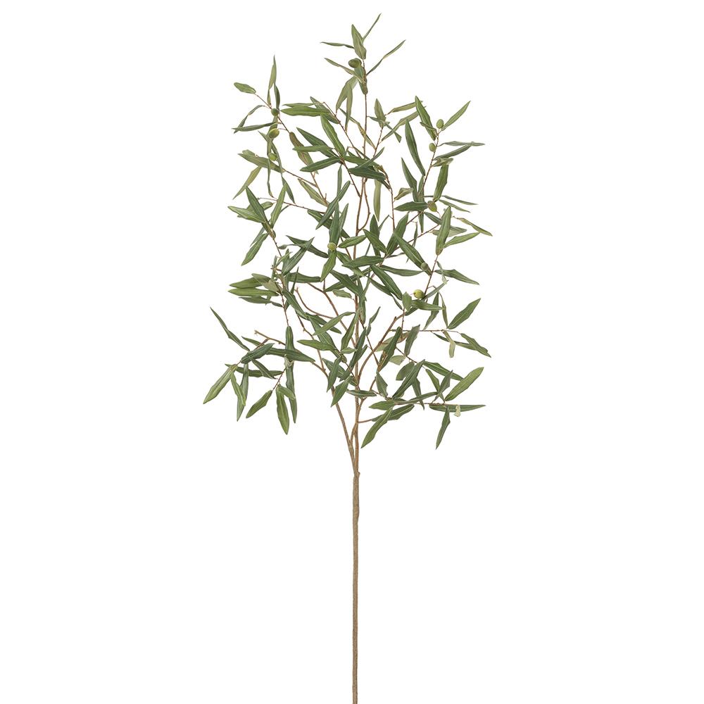 RAMA DE OLIVO SIN ACEITUNA MED:114 CM