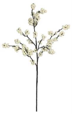 VARA SECA CON VAINAS BLANCAS MED:70 CM