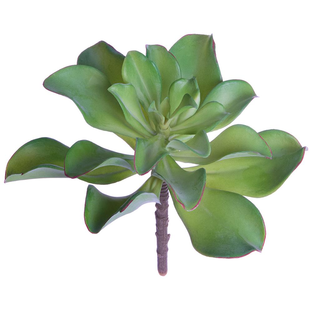 SUCULENTA VERDE HOJA PALETA MED:36 CM