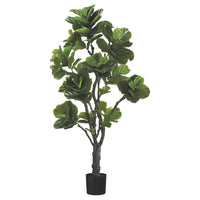 PLANTA PANDURATA MED:180 CM