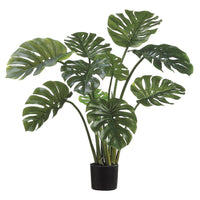 PLANTA MONSTERA MED:99 CM