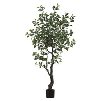 ARBOL FICUS MED:183 CM