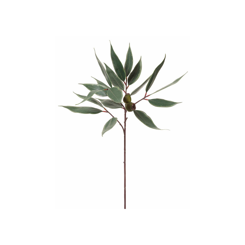 RAMA DE EUCALIPTO CON BROTES MED:77 CM